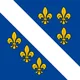 Flag of Bosnia