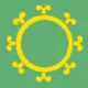 Flag of Maliseet