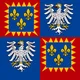 Flag of Modena