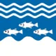 Flag of Tupiniquim